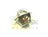ASAM 30403 Thermostat, coolant